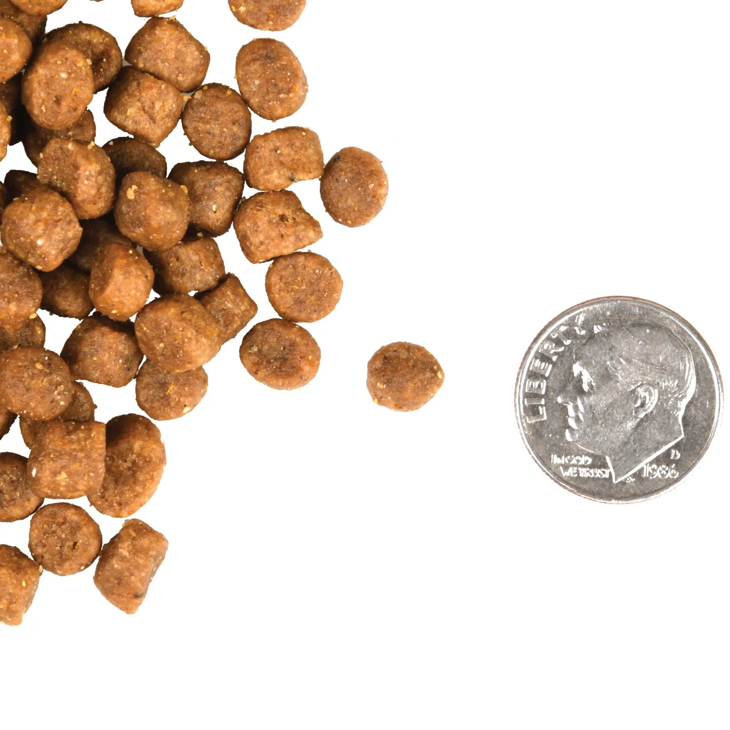 Fromm Gold Kitten Cat Dry Food