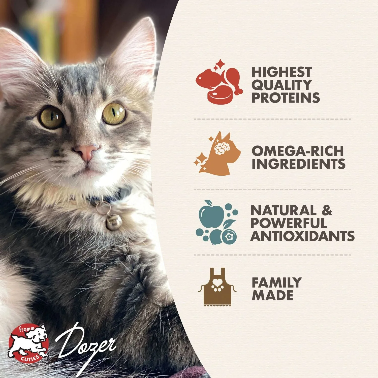 Fromm Gold Kitten Cat Dry Food