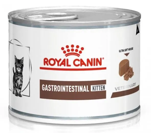 Gastrointestinal kitten