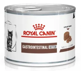 Gastrointestinal kitten
