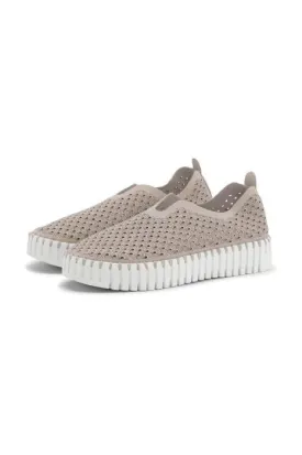Tulip Platform With Cut Outs - Atmosphere
